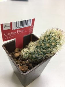 ともだち　その２